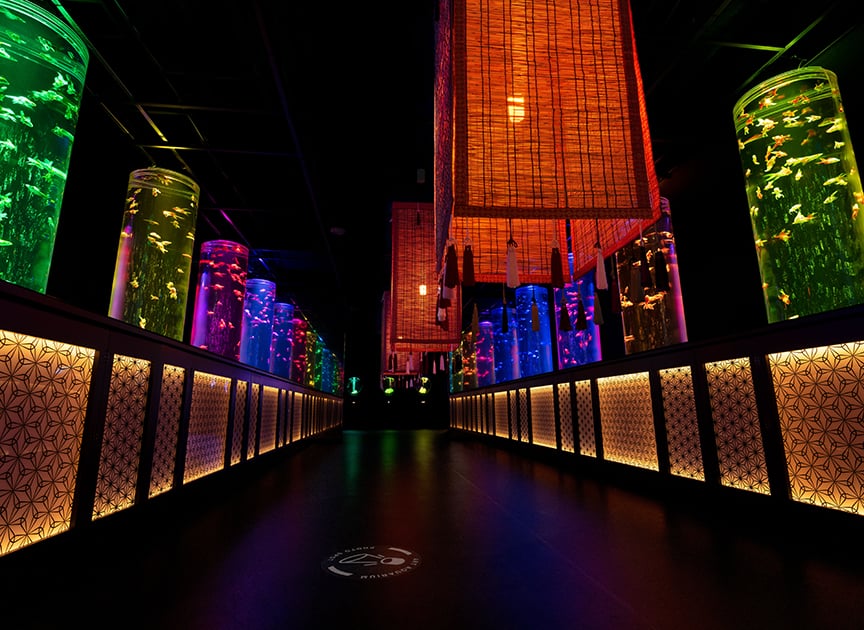 theme_aquarium_photo01