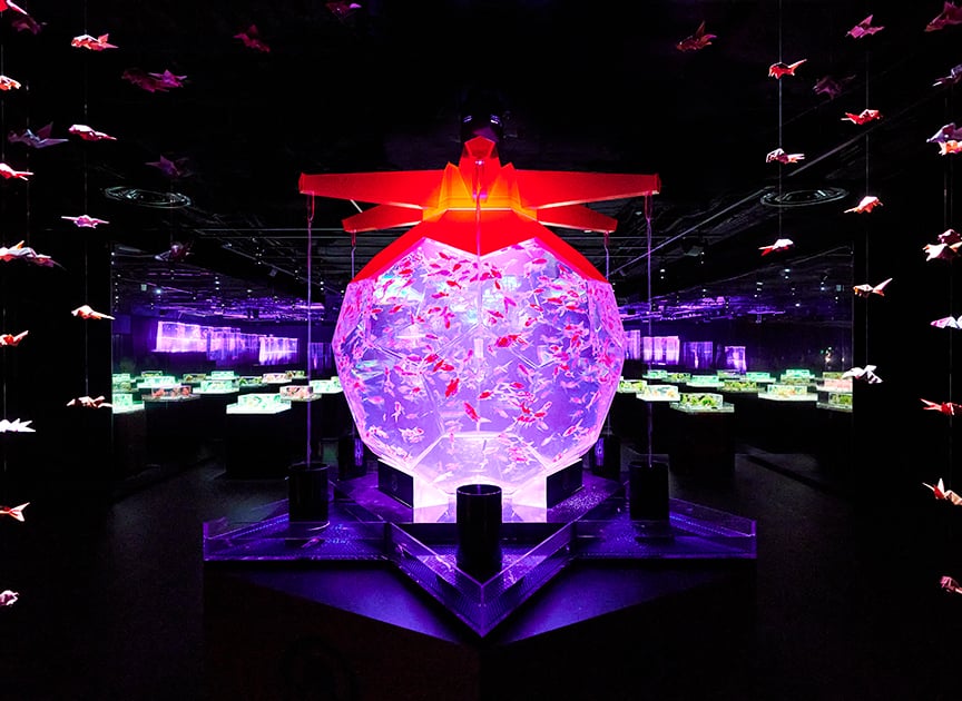 theme_aquarium_photo02