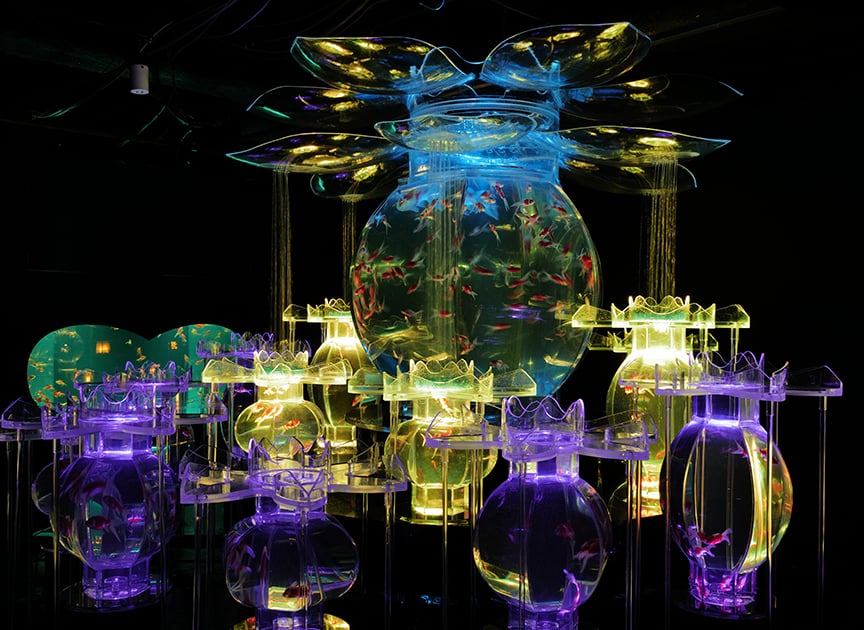 theme_aquarium_photo04