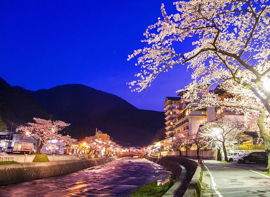 theme_atsumi_photo01
