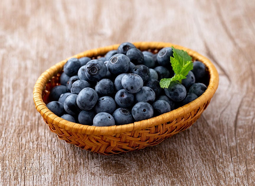 theme_blueberry_photo04