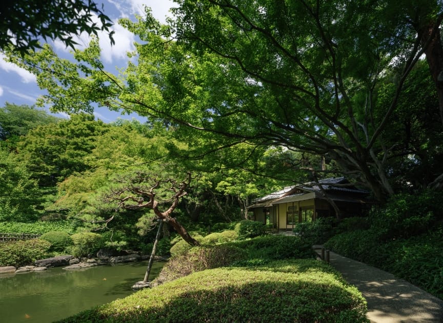 theme_cultural_property_photo03