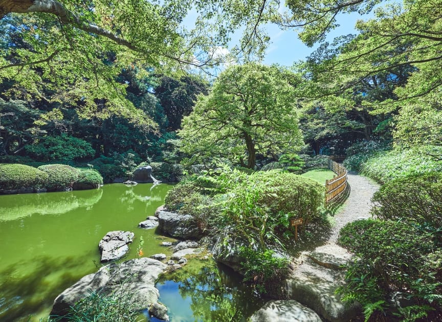 theme_cultural_property_photo04