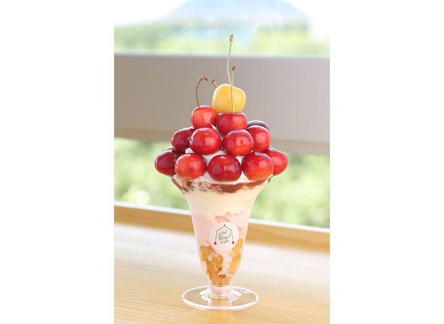 theme_parfait_photo01