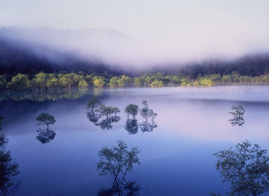 theme_pristinewater_photo02