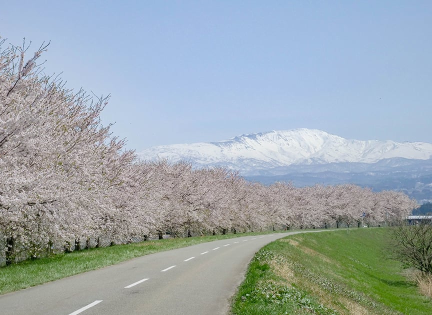 theme_seasonalmountains_photo01
