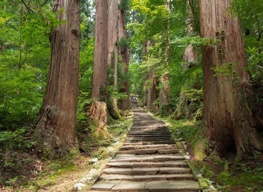 theme_spirit_photo05