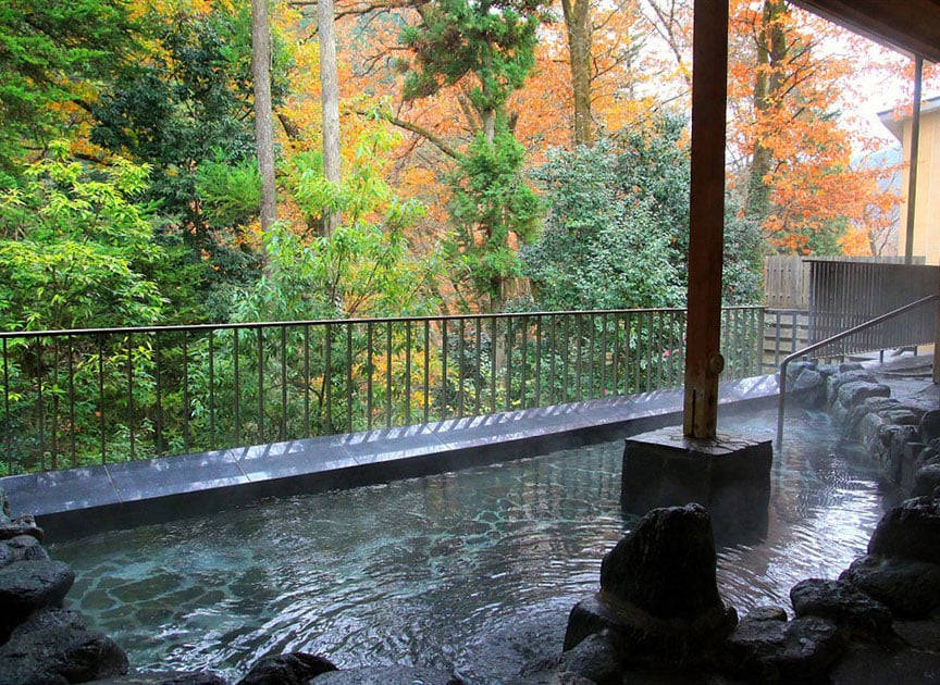 theme_tama_photo01