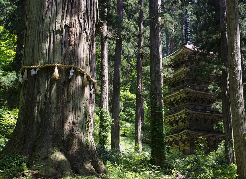 theme_temples_photo01