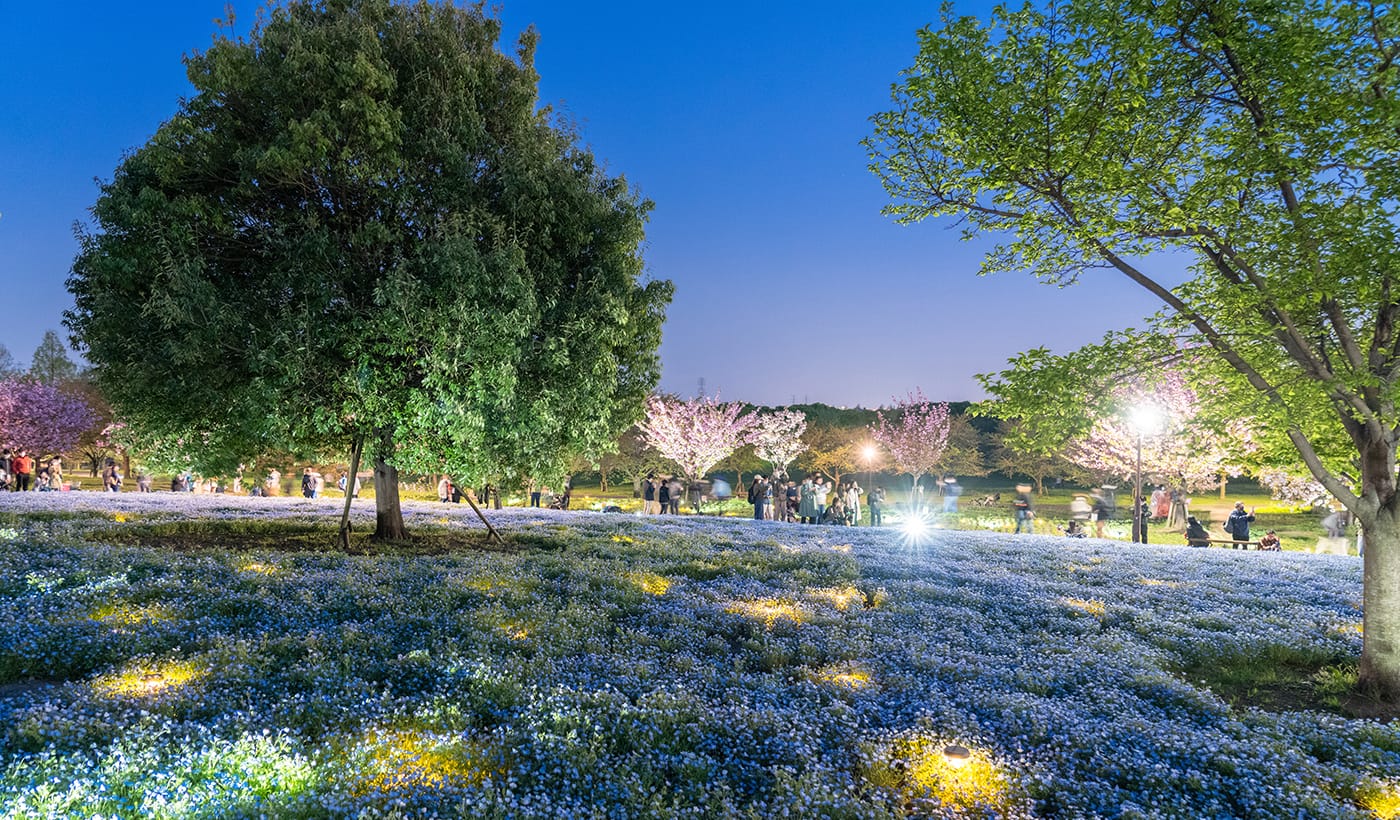 (Tokyo) Toneri Park