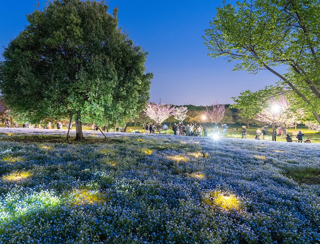 (Tokyo) Toneri Park