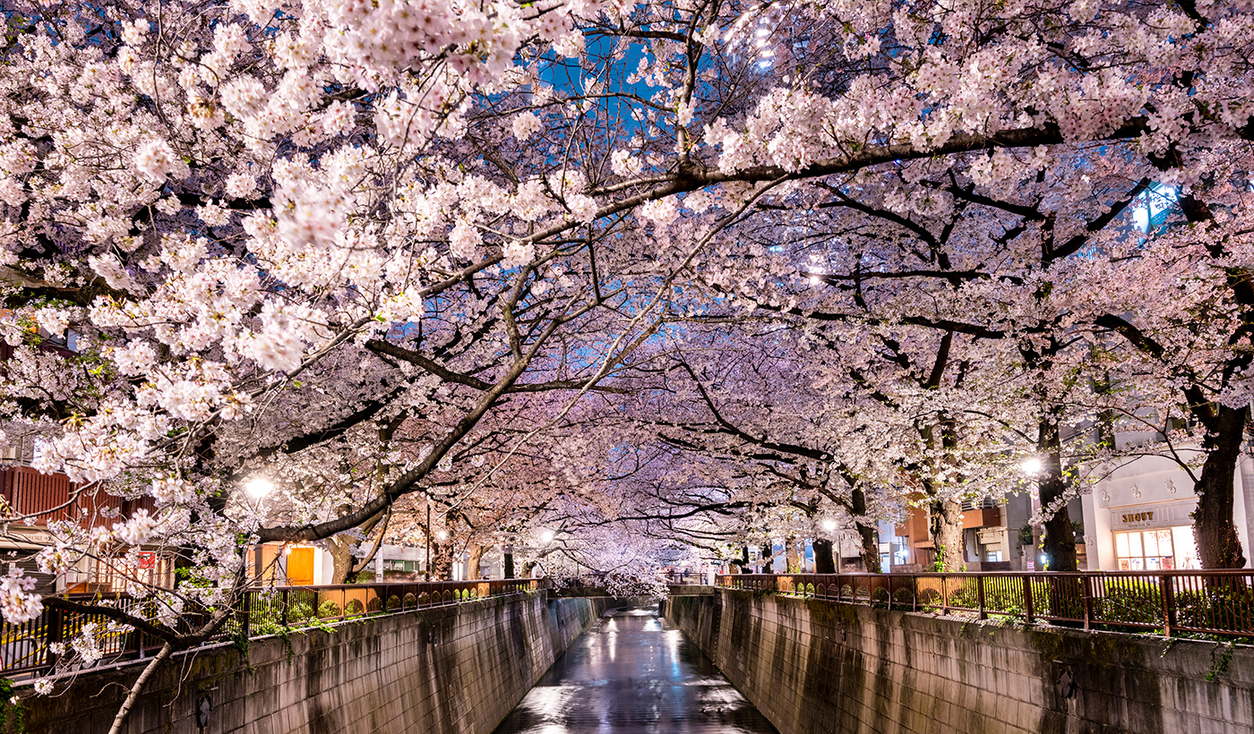 (Tokyo) Meguro River