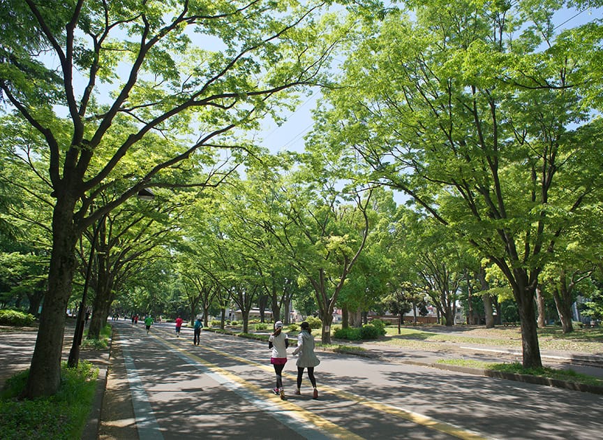 theme_park_photo04