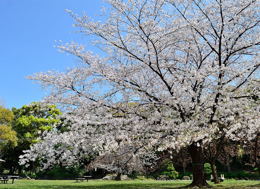 theme_refresh_photo03