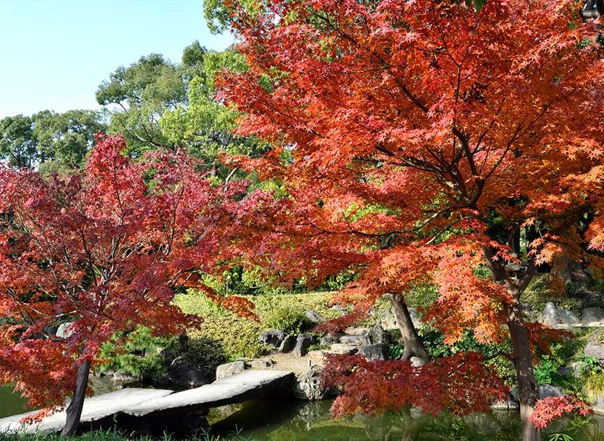 theme_refresh_photo04