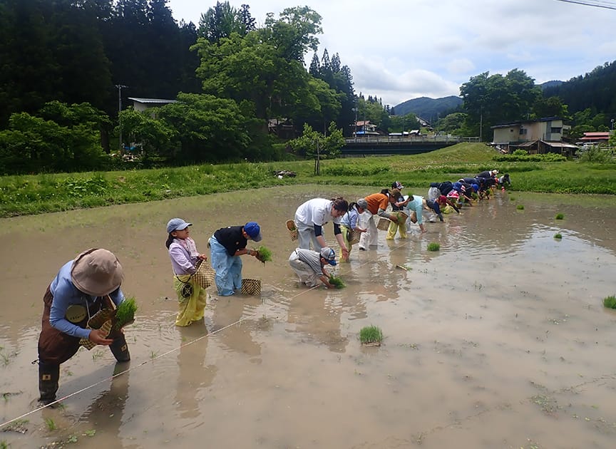theme_sato_photo03