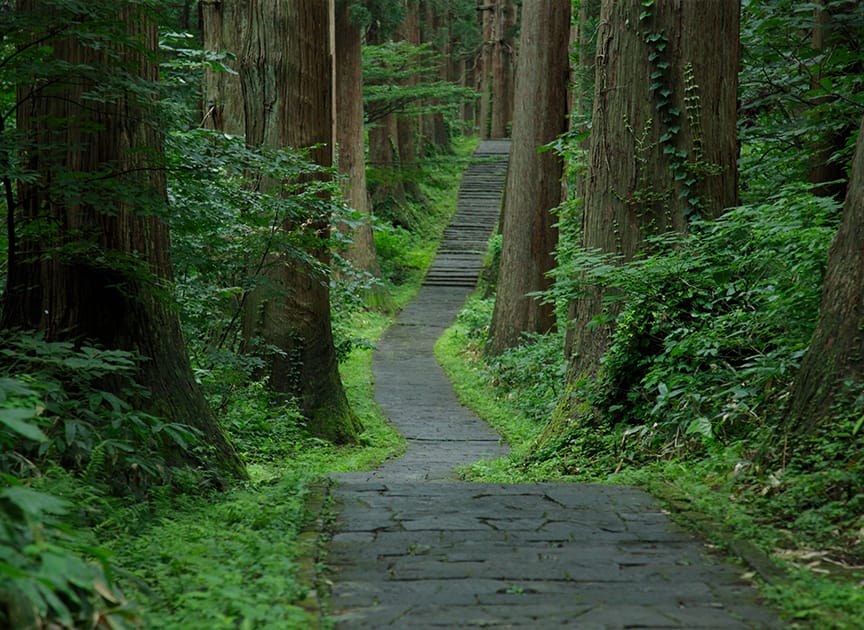 theme_travel_photo02