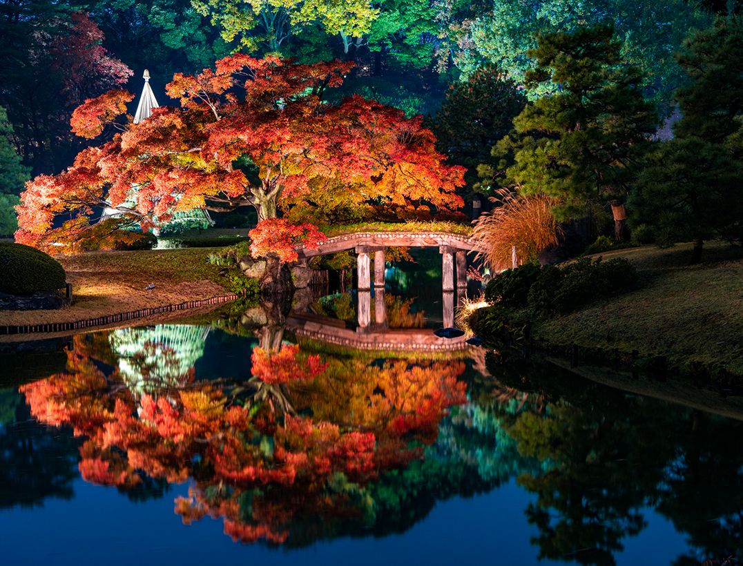 (Tokyo) Rikugien Garden