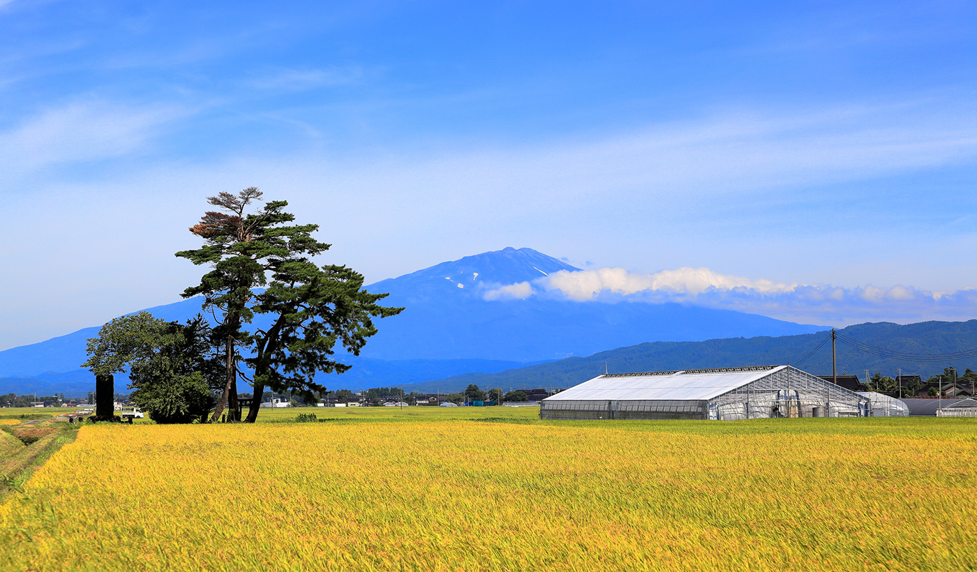 (Yamagata) Scenic views of the Shonai Plain