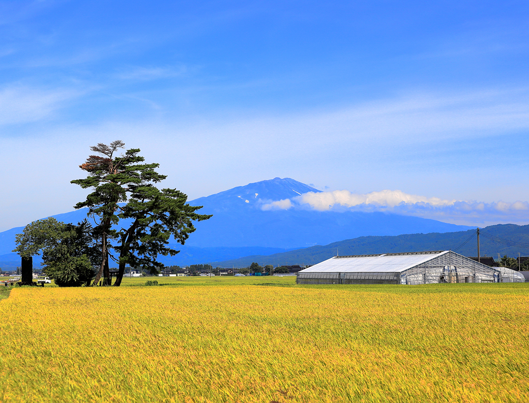 (Yamagata) Scenic views of the Shonai Plain
