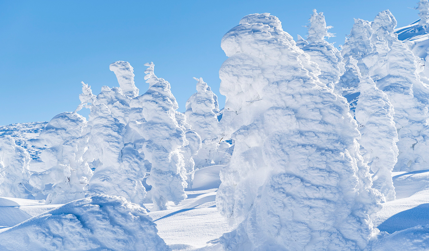 山形　蔵王の樹氷
