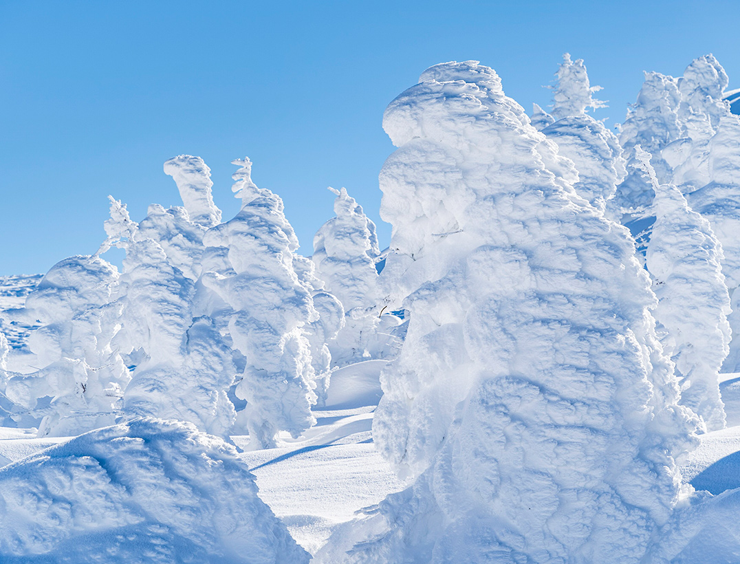 山形　蔵王の樹氷