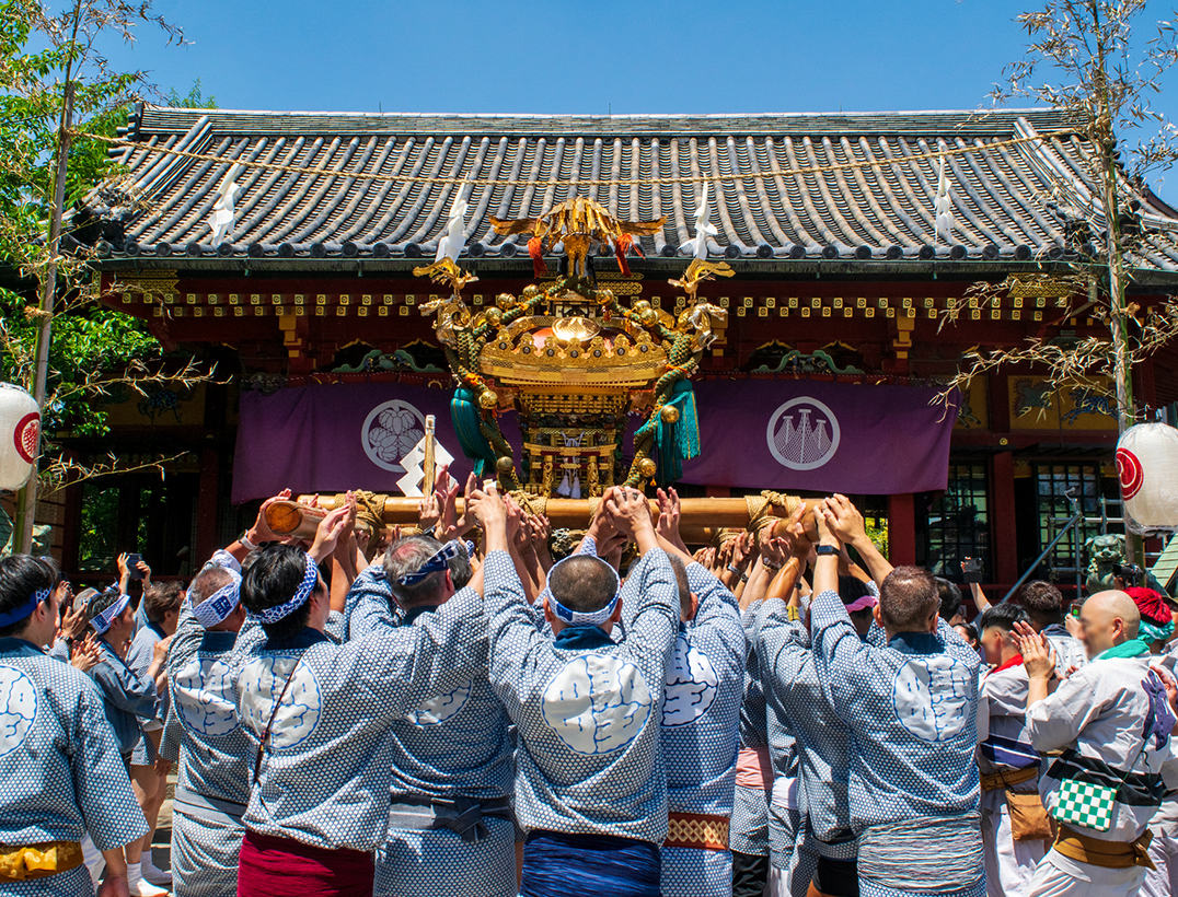 東京　三社祭