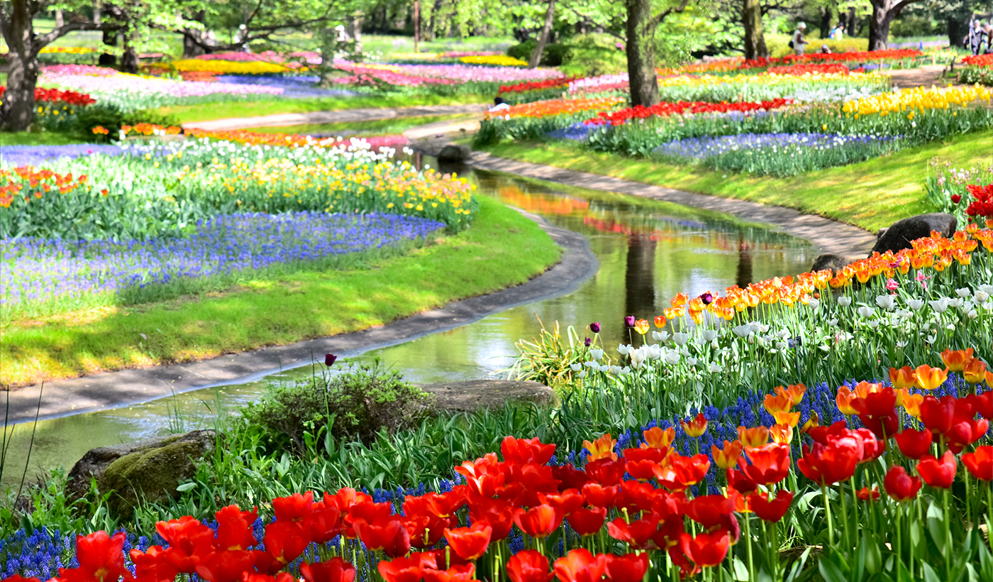 東京　国営昭和記念公園