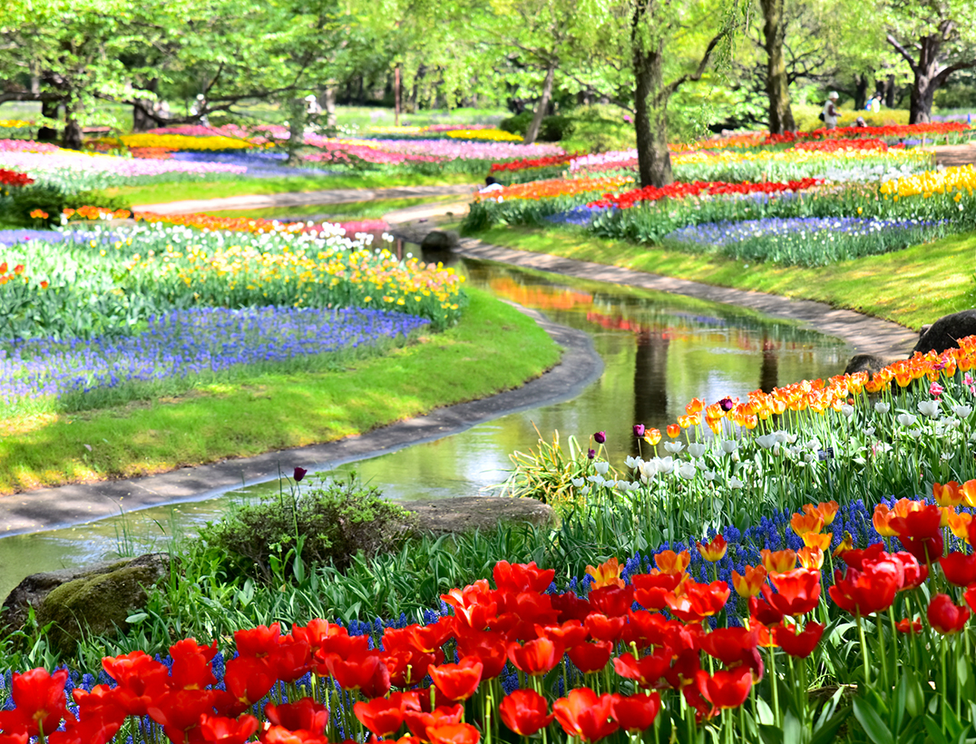 東京　国営昭和記念公園