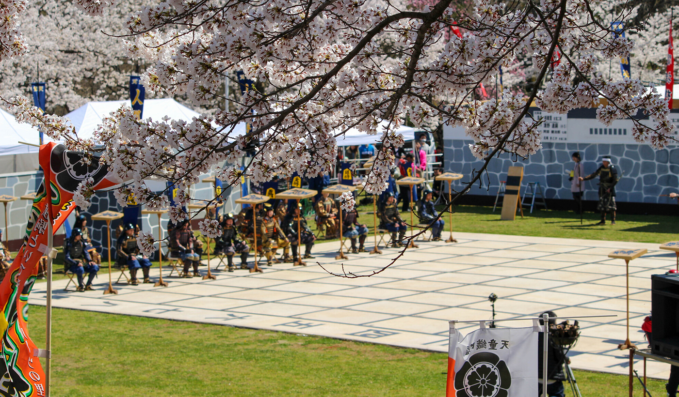 山形　天童桜まつり「人間将棋」