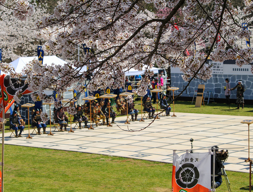 山形　天童桜まつり「人間将棋」